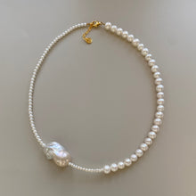 Load image into Gallery viewer, FRÉJUS