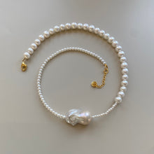 Load image into Gallery viewer, FRÉJUS