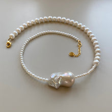 Load image into Gallery viewer, FRÉJUS