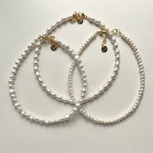 Load image into Gallery viewer, ACIE