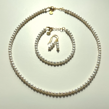 Load image into Gallery viewer, AUDE