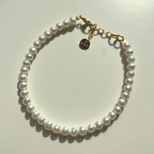 Load image into Gallery viewer, AUDE