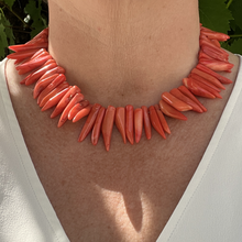 Load image into Gallery viewer, VAIANNA