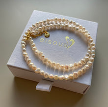 Load image into Gallery viewer, CALAIS