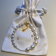 Load image into Gallery viewer, ANTIBES