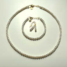 Load image into Gallery viewer, AUDE