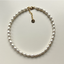 Load image into Gallery viewer, ACIE