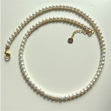 Load image into Gallery viewer, AUDE